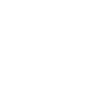 Level Six